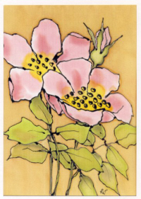 Vaaleanpunainen Kukka - by Raili Tala