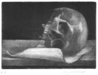 Skull - by Norbert Salzwedel
